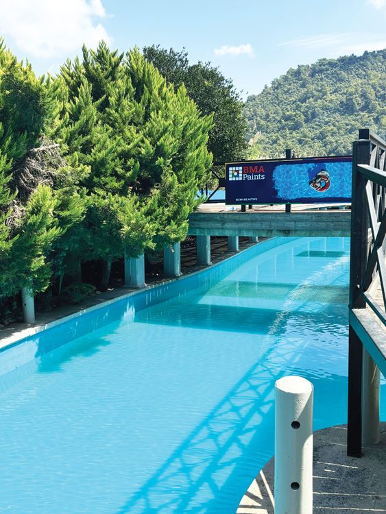 Pool Insulators