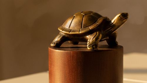 In a World of Lions, Choose the Turtle
